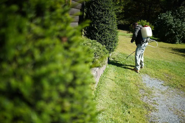 Modern Pest Services Picture 5