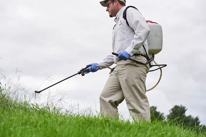 Modern Pest Services Picture 10
