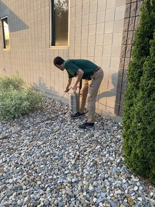 Security Pest Elimination Picture 4