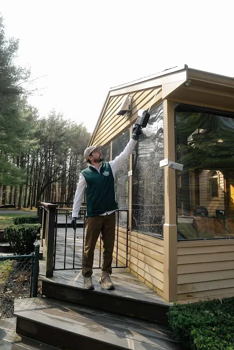 Eastern Pine Pest Control Picture 9