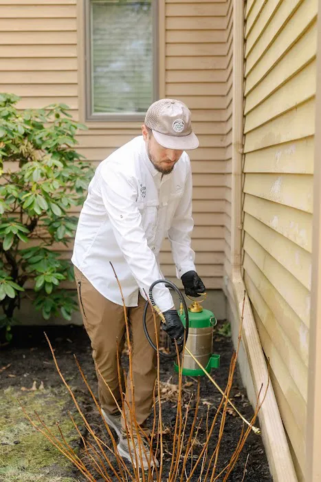 Eastern Pine Pest Control Picture 10