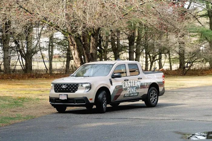 Eastern Pine Pest Control Picture 1