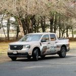 Eastern Pine Pest Control