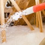 EcoShield Pest Solutions