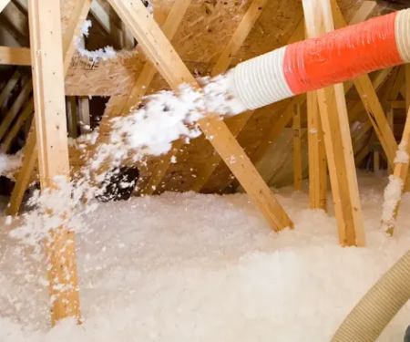 EcoShield Pest Solutions