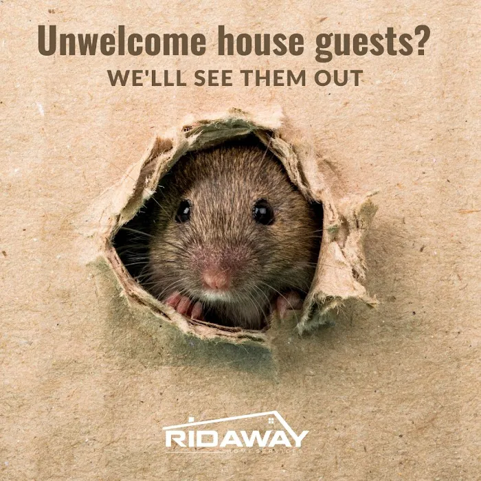 RidAway Picture 8