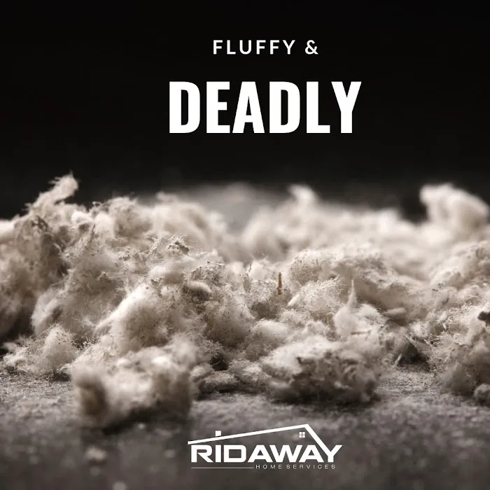 RidAway Picture 7