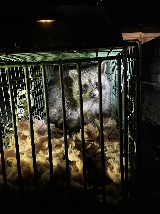 Andover Pest Control Inc. Picture 6