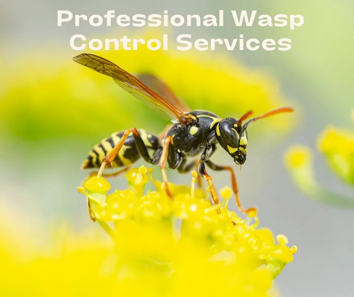 Andover Pest Control Inc. Picture 10