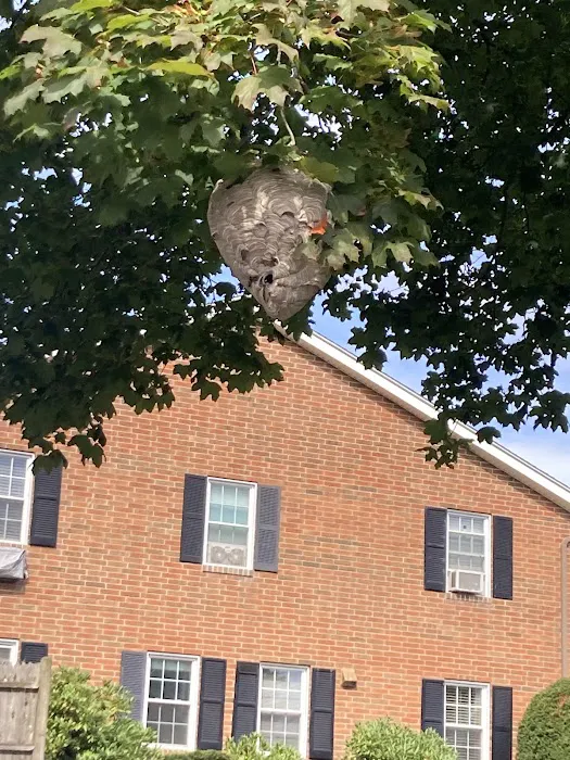 Andover Pest Control Inc. Picture 3