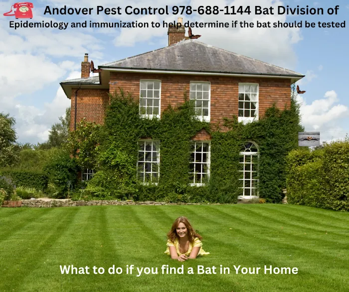 Andover Pest Control Inc. Picture 8
