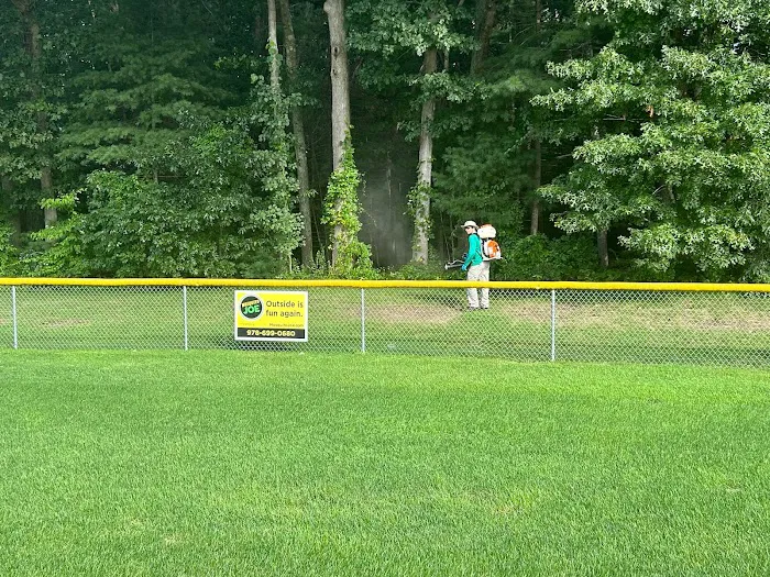 Mosquito Joe of Andover-Peabody Picture 5