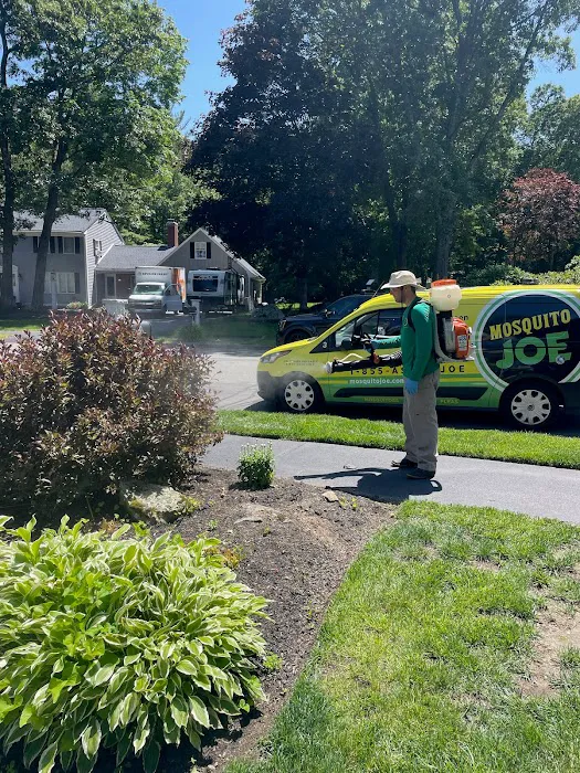 Mosquito Joe of Andover-Peabody Picture 10