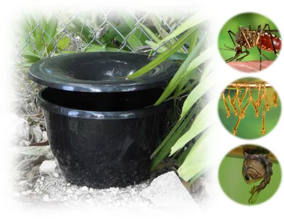 Ultra Safe Pest Management Picture 3