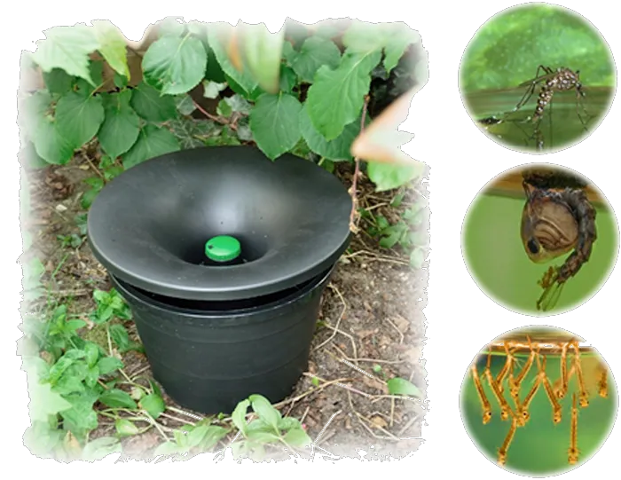 Ultra Safe Pest Management Picture 2