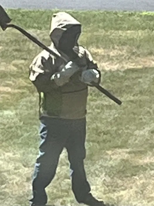 Jason Killoren - Pest Control Picture 5