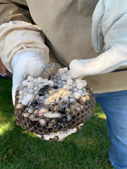 Jason Killoren - Pest Control Picture 6