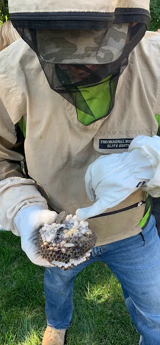Jason Killoren - Pest Control Picture 7