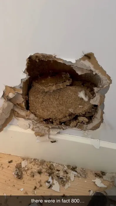 Ultra Safe Pest Management Picture 7