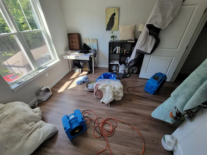 Debug Your Bed - Pest Control Picture 6