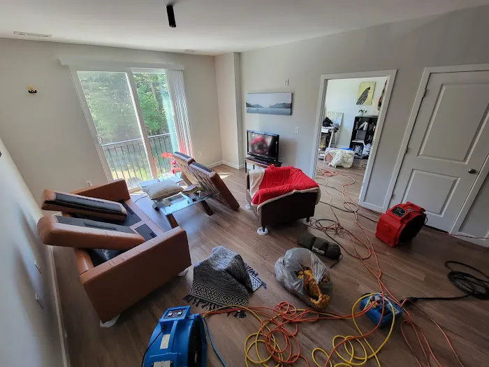 Debug Your Bed - Pest Control Picture 5