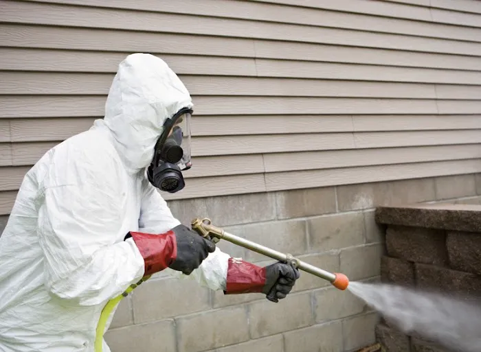 Pest Control Boston King Picture 5