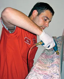 Pest Control Boston King Picture 1