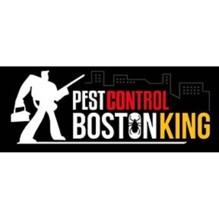 Pest Control Boston King Picture 4
