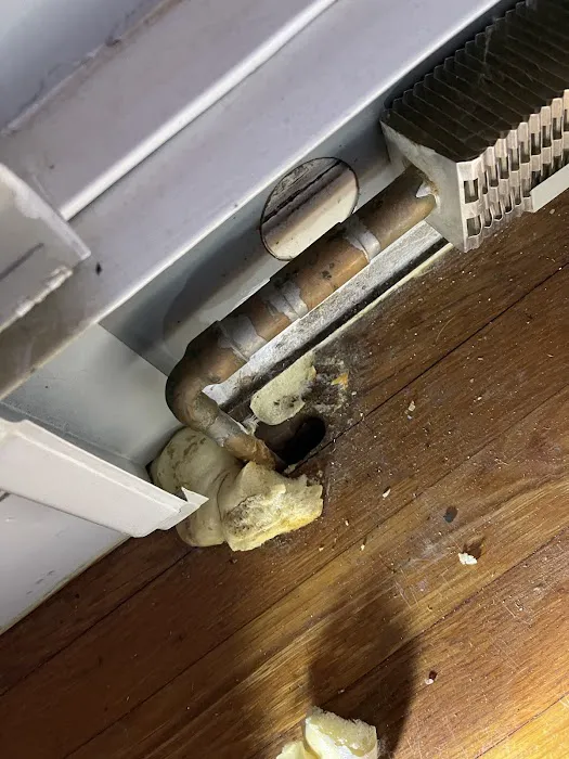Master Mice Proofing Picture 8