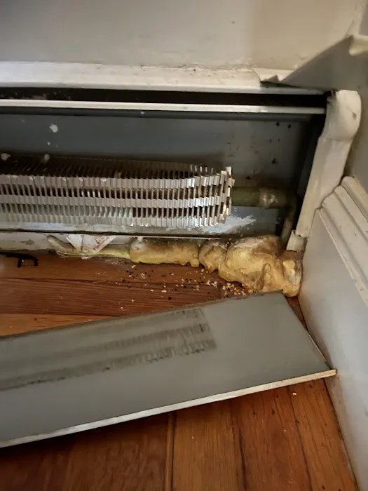 Master Mice Proofing Picture 4
