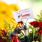 Ladybug Pest Control Services