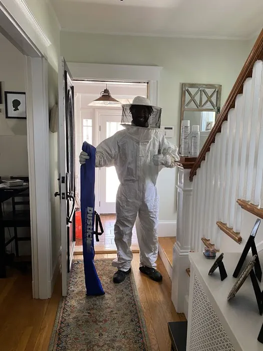 Ladybug Pest Control Services Picture 2