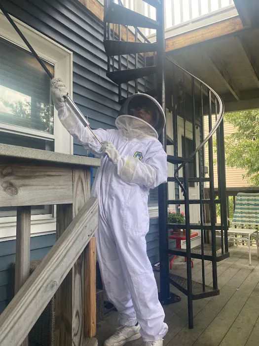 Ladybug Pest Control Services Picture 5