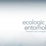 Ecologic Entomology