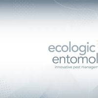 Ecologic Entomology ico