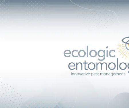 Ecologic Entomology