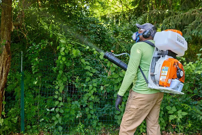 Mosquito Squad of Boston Metro South Picture 9