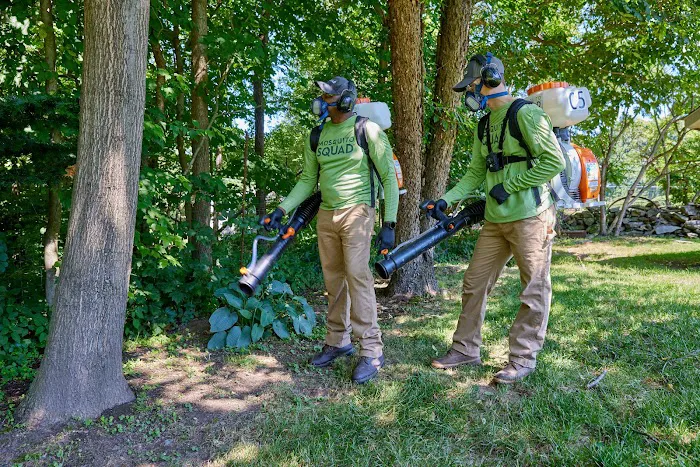 Mosquito Squad of Boston Metro South Picture 4