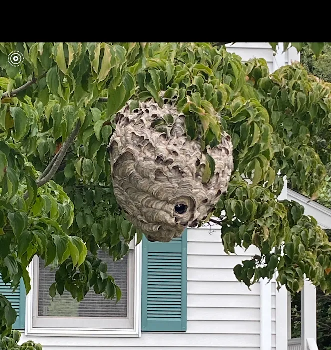 R.J.'s Integrated Pest Management Picture 4