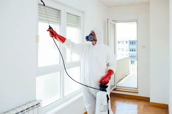 Action Pest Control Picture 6