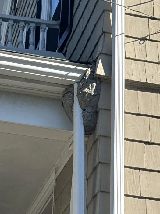 Eagle Eye Pest Control inc. Picture 9