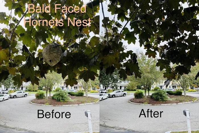 Eagle Eye Pest Control inc. Picture 7