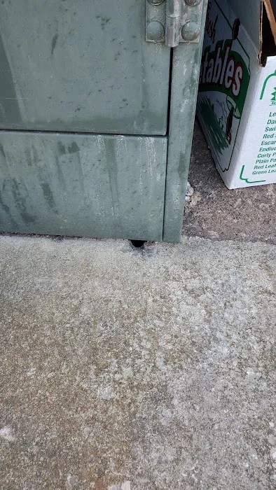 Eagle Eye Pest Control inc. Picture 4