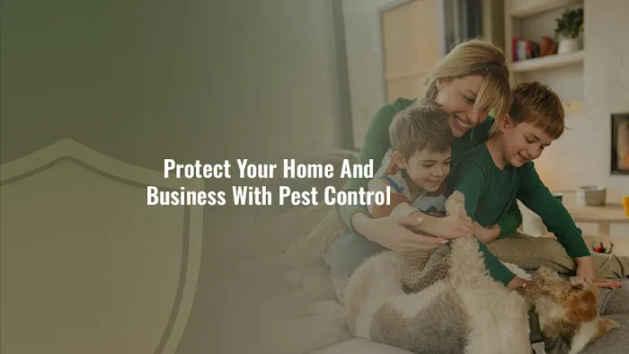 Combat Pest Control Picture 3