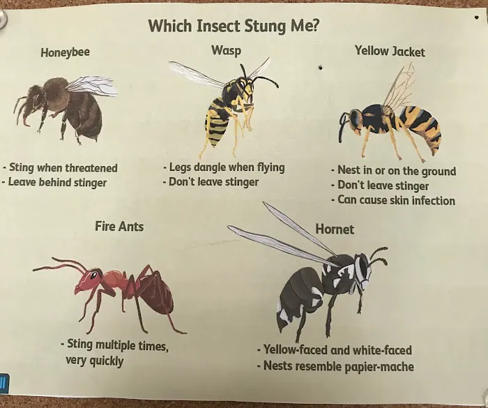 Combat Pest Control Picture 1
