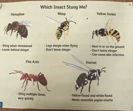 Combat Pest Control