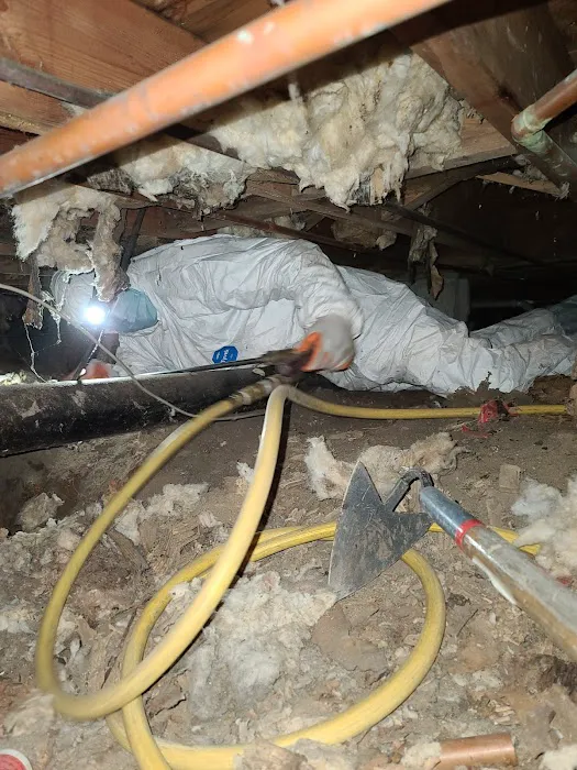 Combat Pest Control Picture 5