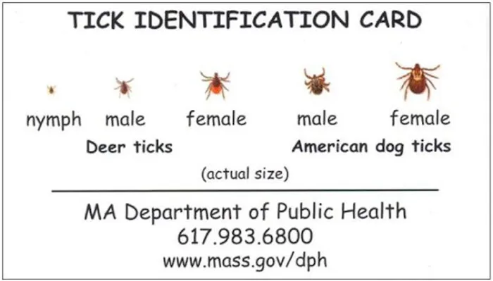 No Swat Organic Mosquito & Tick Control Picture 1
