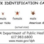 No Swat Organic Mosquito & Tick Control