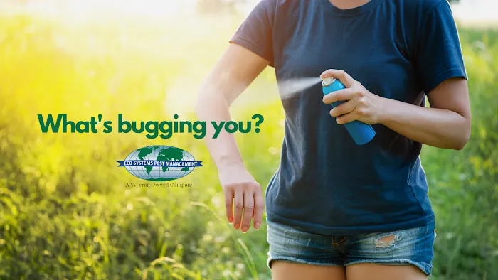 Eco Systems Pest Control Inc. - A Division of Modern Pest Services Picture 2
